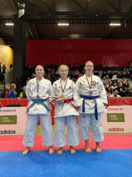 Srebrna Elma Lišinović